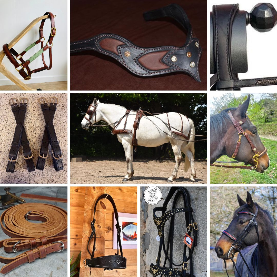 The various harness parts: Bridle, Net, Halter, Hackamore, Driving
