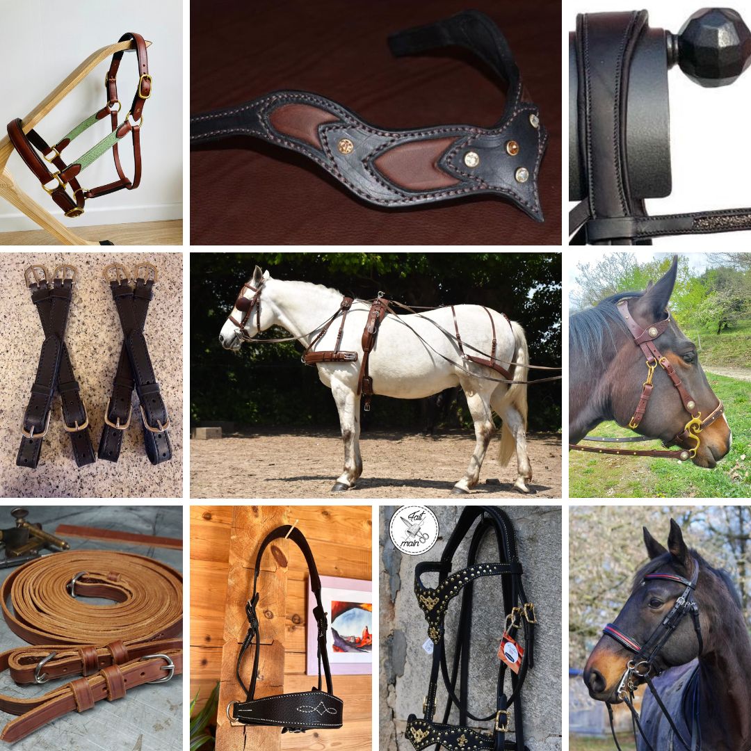 The various harness parts: Bridle, Net, Halter, Hackamore, Driving 