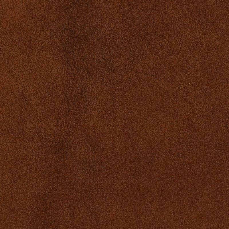 half-back teinted Niagara harnachements leather goods zoom grain havana