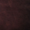 half hide aniline angel equestrian zoom chocolate grain