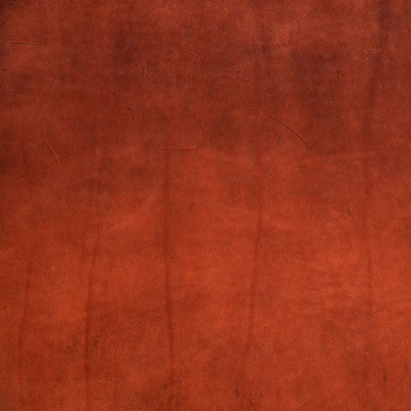 half-back strap 220x3cm teinted niagara leather goods grain havana